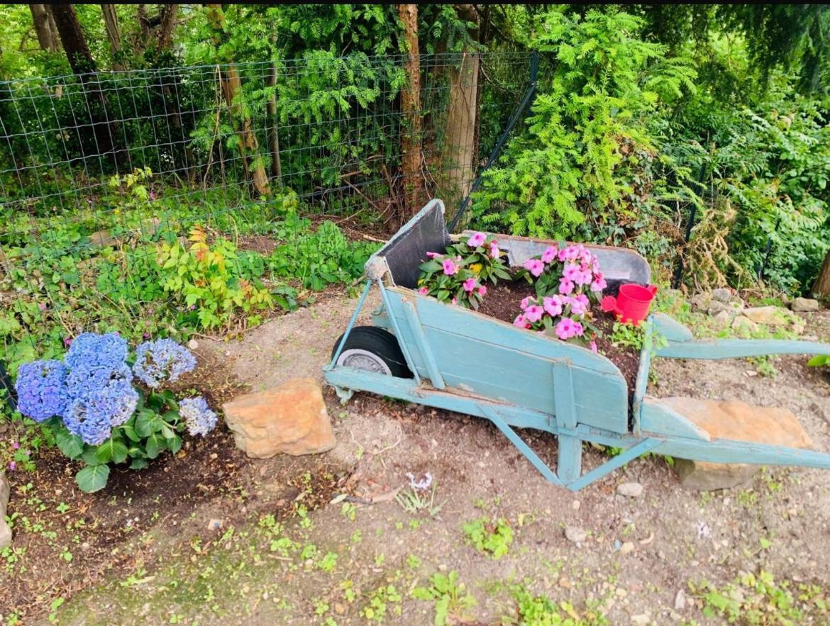 Vila Les Volets Bleus Parmain Exteriér fotografie